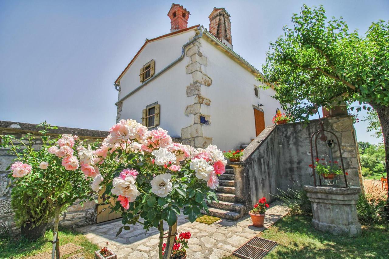 Villa Erika in Šumber  Nedeščina Exterior foto